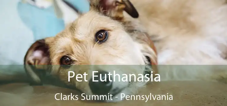 Pet Euthanasia Clarks Summit - Pennsylvania