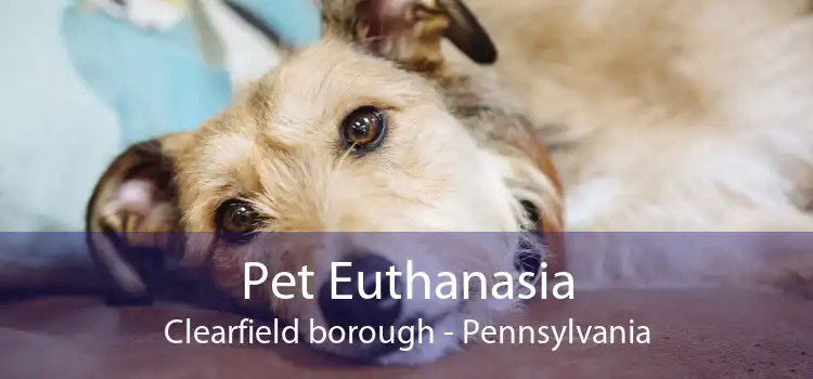 Pet Euthanasia Clearfield borough - Pennsylvania
