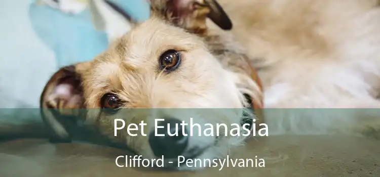 Pet Euthanasia Clifford - Pennsylvania