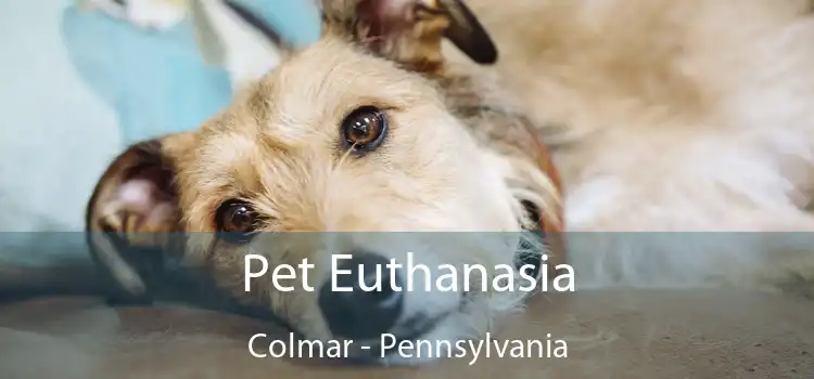 Pet Euthanasia Colmar - Pennsylvania