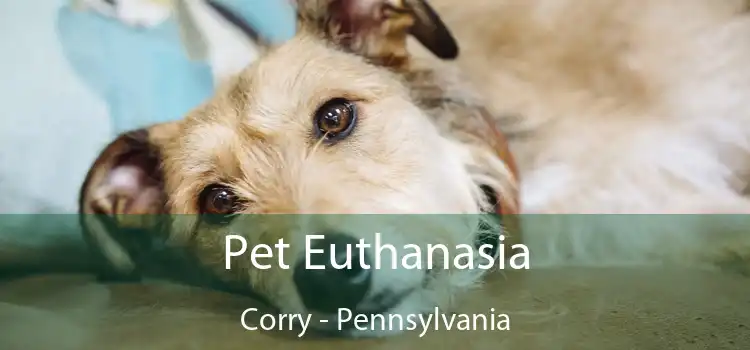Pet Euthanasia Corry - Pennsylvania