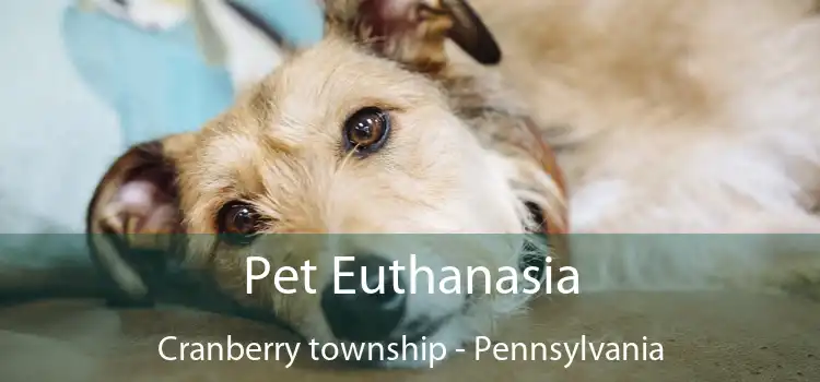 Pet Euthanasia Cranberry township - Pennsylvania