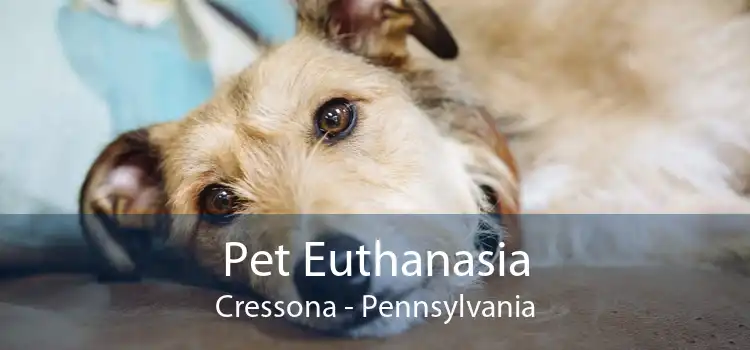 Pet Euthanasia Cressona - Pennsylvania