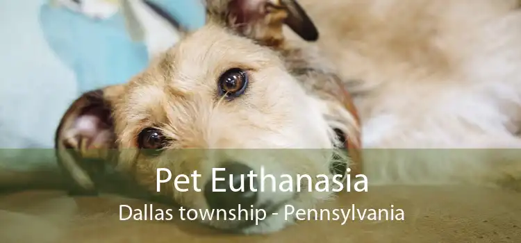 Pet Euthanasia Dallas township - Pennsylvania