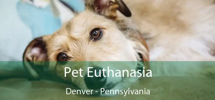 Pet Euthanasia Denver - Pennsylvania