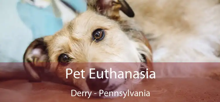 Pet Euthanasia Derry - Pennsylvania