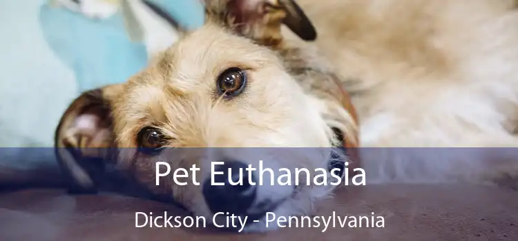 Pet Euthanasia Dickson City - Pennsylvania