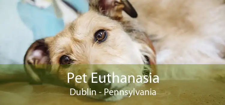 Pet Euthanasia Dublin - Pennsylvania