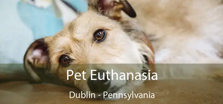 Pet Euthanasia Dublin - Pennsylvania