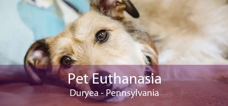 Pet Euthanasia Duryea - Pennsylvania