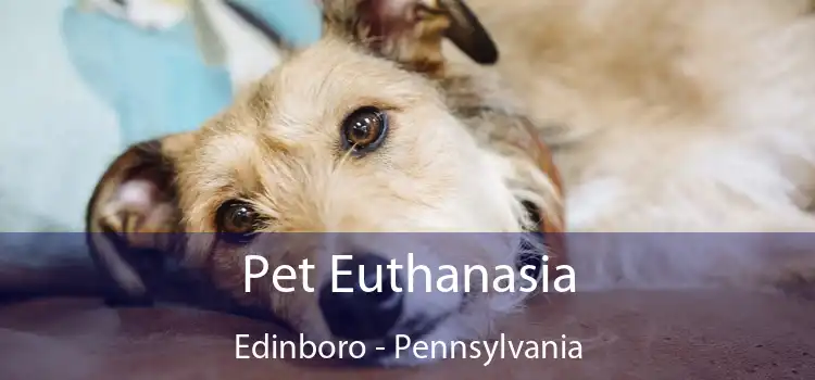 Pet Euthanasia Edinboro - Pennsylvania