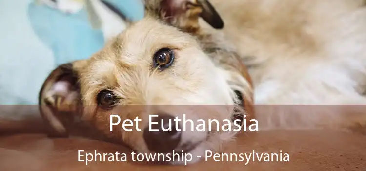 Pet Euthanasia Ephrata township - Pennsylvania