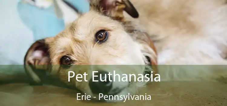 Pet Euthanasia Erie - Pennsylvania