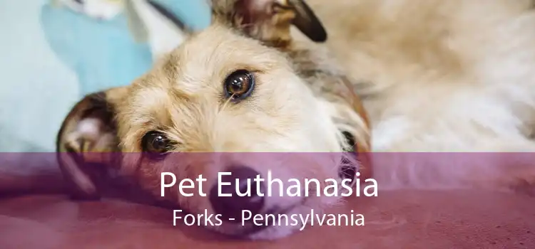 Pet Euthanasia Forks - Pennsylvania
