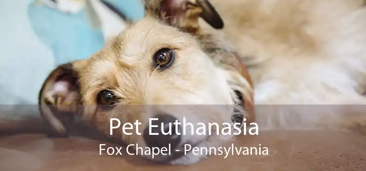 Pet Euthanasia Fox Chapel - Pennsylvania