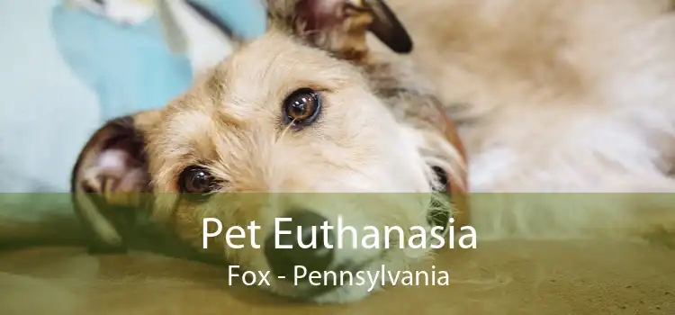 Pet Euthanasia Fox - Pennsylvania
