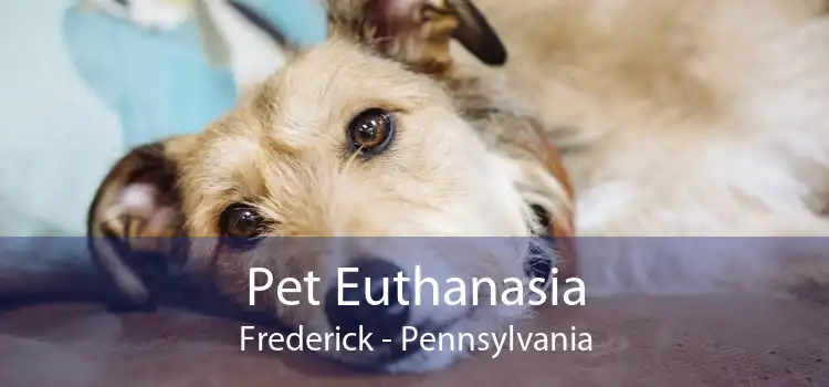 Pet Euthanasia Frederick - Pennsylvania
