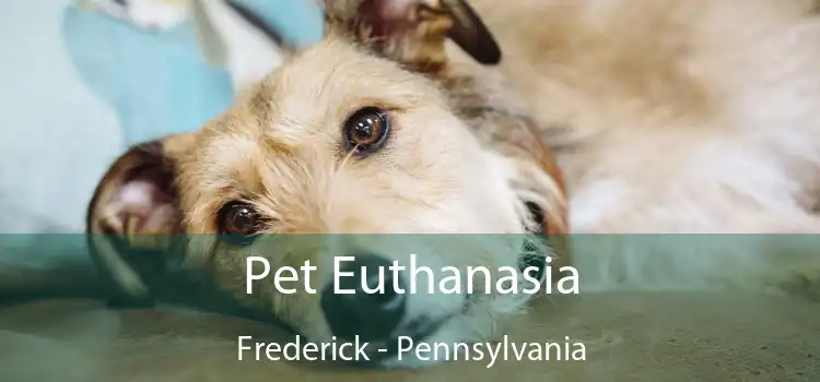 Pet Euthanasia Frederick - Pennsylvania