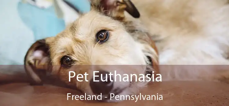 Pet Euthanasia Freeland - Pennsylvania