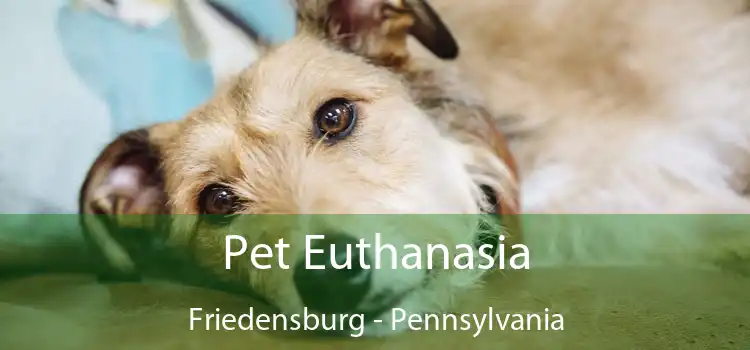 Pet Euthanasia Friedensburg - Pennsylvania