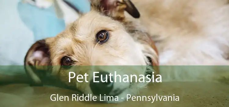 Pet Euthanasia Glen Riddle Lima - Pennsylvania