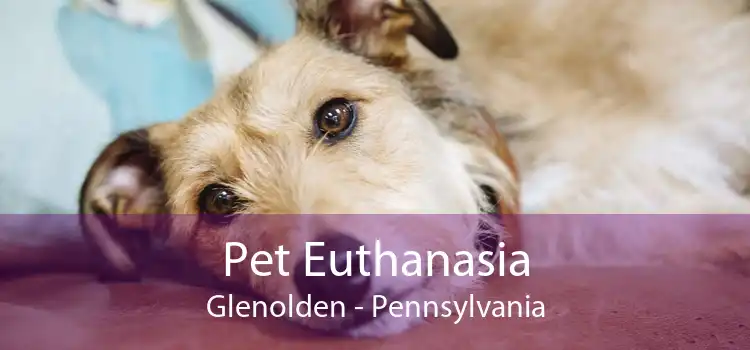 Pet Euthanasia Glenolden - Pennsylvania