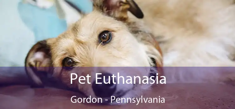 Pet Euthanasia Gordon - Pennsylvania