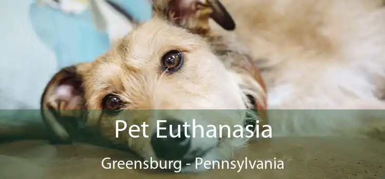 Pet Euthanasia Greensburg - Pennsylvania