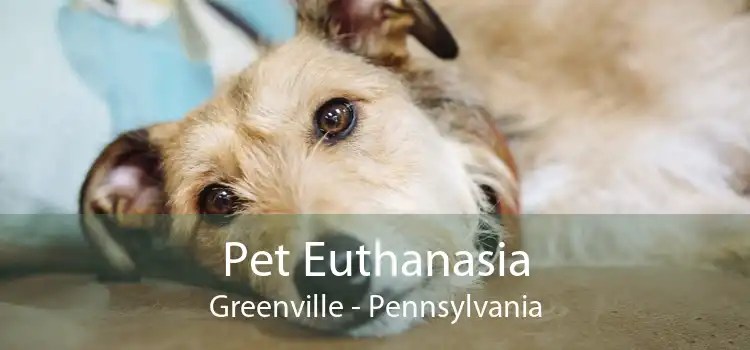 Pet Euthanasia Greenville - Pennsylvania