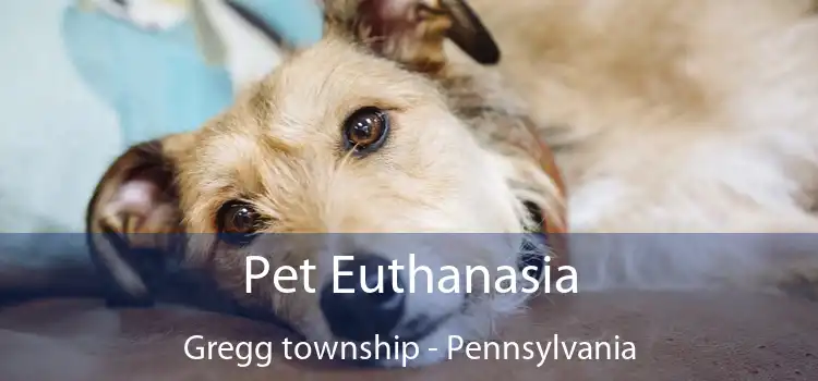 Pet Euthanasia Gregg township - Pennsylvania