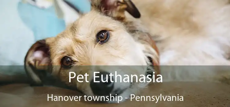Pet Euthanasia Hanover township - Pennsylvania