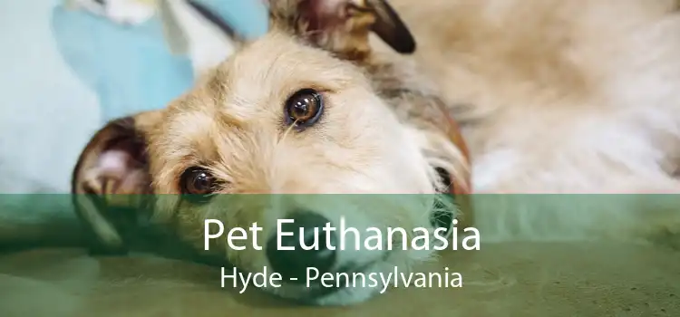 Pet Euthanasia Hyde - Pennsylvania