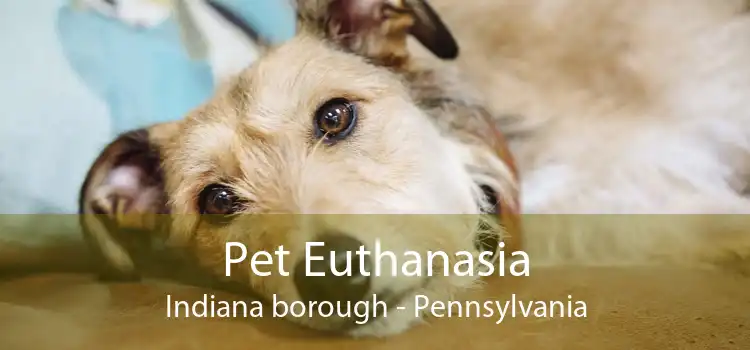 Pet Euthanasia Indiana borough - Pennsylvania