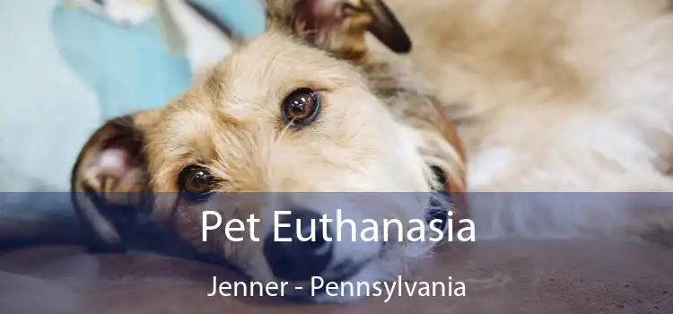 Pet Euthanasia Jenner - Pennsylvania