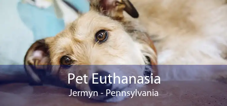 Pet Euthanasia Jermyn - Pennsylvania