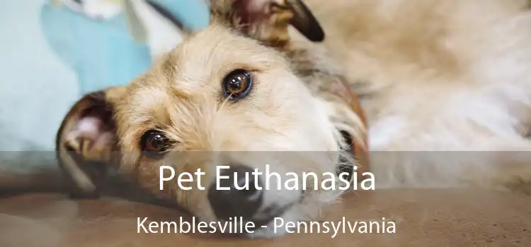 Pet Euthanasia Kemblesville - Pennsylvania