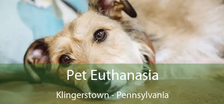 Pet Euthanasia Klingerstown - Pennsylvania