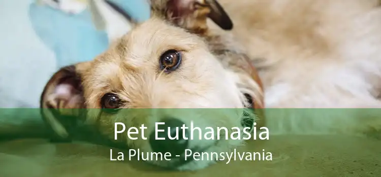 Pet Euthanasia La Plume - Pennsylvania