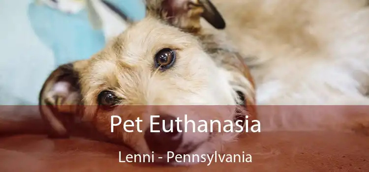 Pet Euthanasia Lenni - Pennsylvania