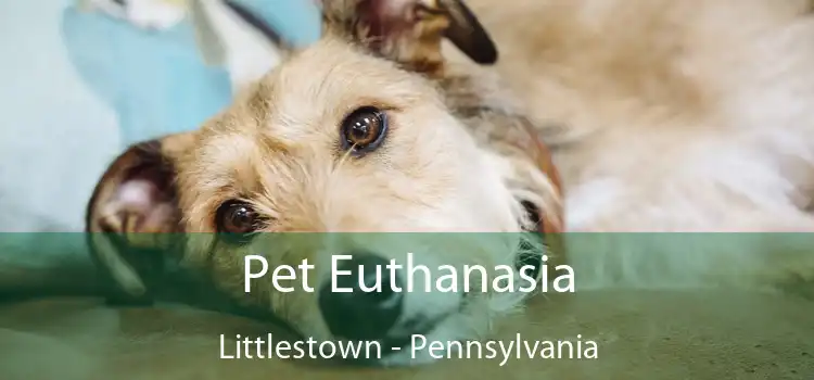 Pet Euthanasia Littlestown - Pennsylvania