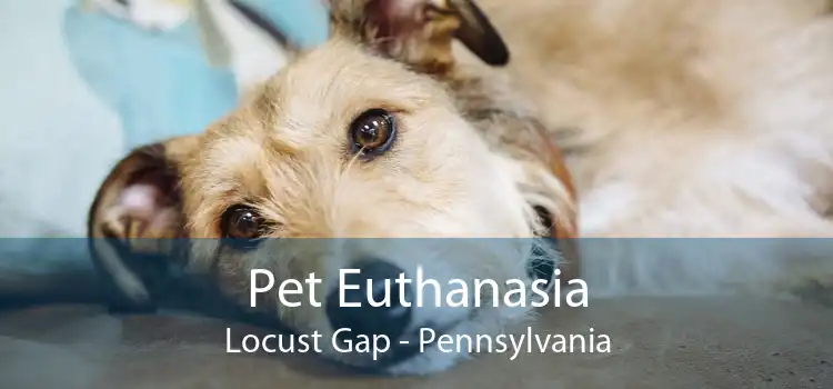 Pet Euthanasia Locust Gap - Pennsylvania