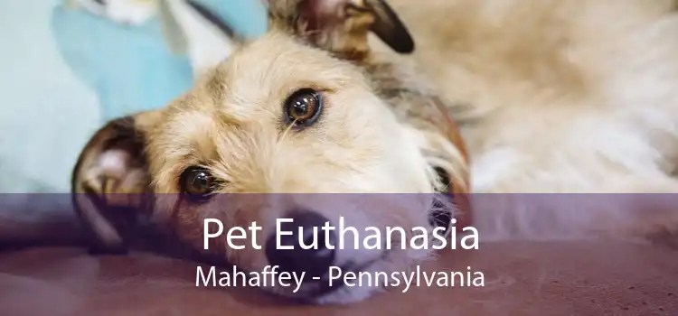 Pet Euthanasia Mahaffey - Pennsylvania