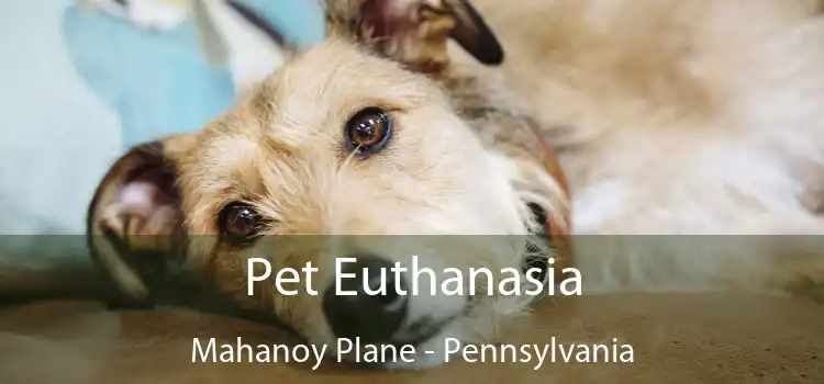 Pet Euthanasia Mahanoy Plane - Pennsylvania
