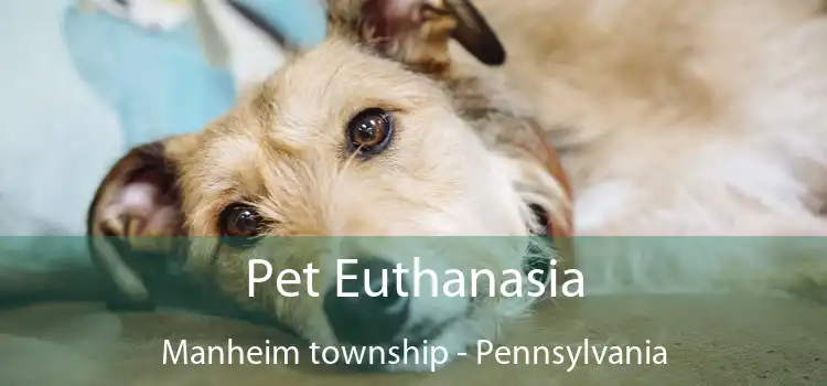 Pet Euthanasia Manheim township - Pennsylvania