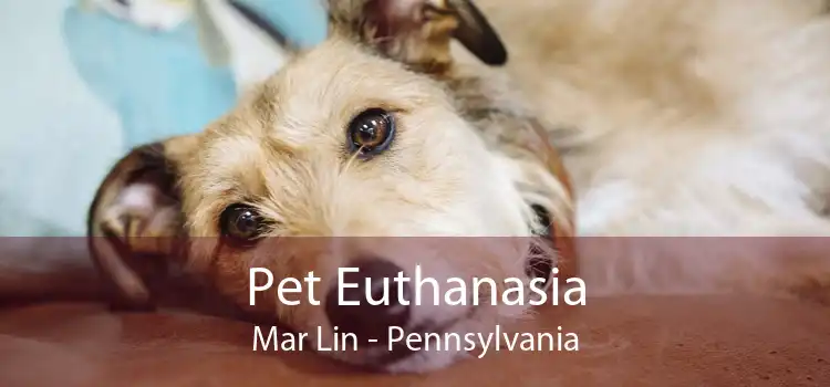 Pet Euthanasia Mar Lin - Pennsylvania
