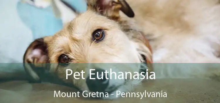 Pet Euthanasia Mount Gretna - Pennsylvania