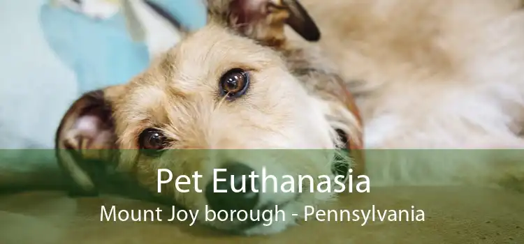 Pet Euthanasia Mount Joy borough - Pennsylvania