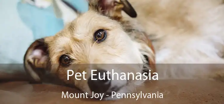 Pet Euthanasia Mount Joy - Pennsylvania