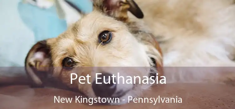 Pet Euthanasia New Kingstown - Pennsylvania