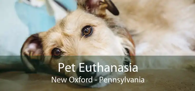Pet Euthanasia New Oxford - Pennsylvania
